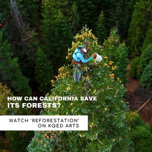 Image post by @kqed on Instagram
