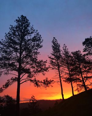 Image post by @ucsc on Instagram
