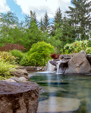 Image post by @alderwoodlandscaping on Instagram