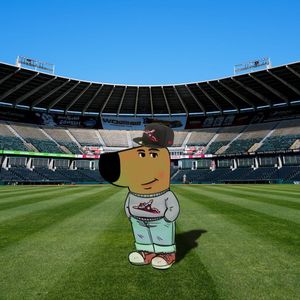 Image post by @gosquirrels on Instagram