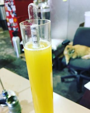 Image post by @navigationbrewingco on Instagram