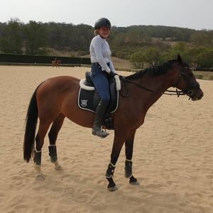 Image post by @performancesaddlefitssthsydney on Instagram