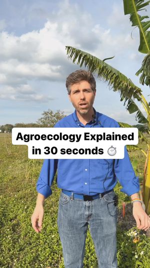 Video post by @UFIFASNews on Facebook
