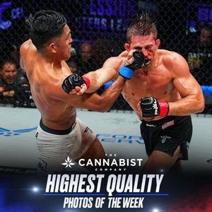 Image post by @pflmma on Instagram