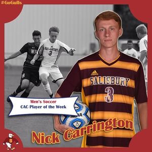 Image post by @suseagulls on Instagram