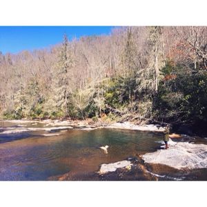 Image post by @themikeledford on Instagram