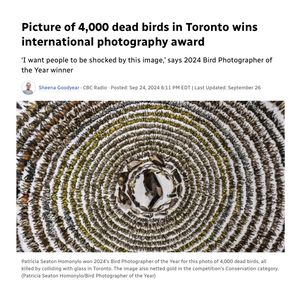 Image post by @featherfriendly on Instagram