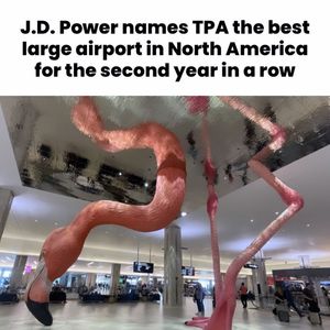 Image post by @thatssotampa on Instagram