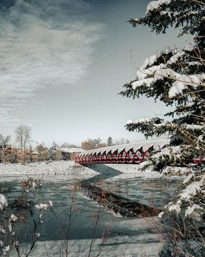 Image post by @cityofcalgary on Instagram