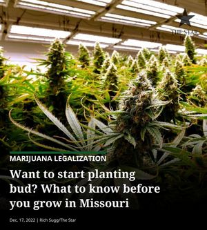 Image post by @thekansascitystar on Instagram