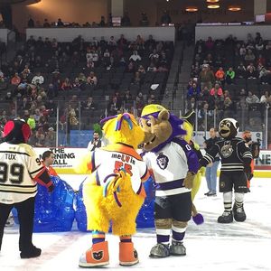 Image post by @readingroyals on Instagram