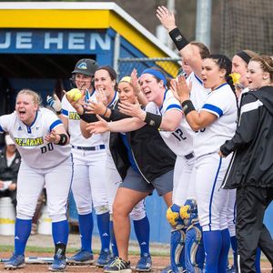 Image post by @udbluehens on Instagram