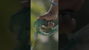 Video post by @chargers on YouTube