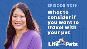 Video post by @bluebuffalo on YouTube