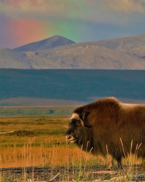 Image post by @nationalparkservice on Instagram