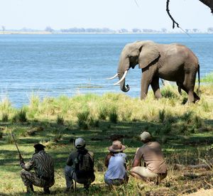 Image post by @chiawasafaris on Instagram