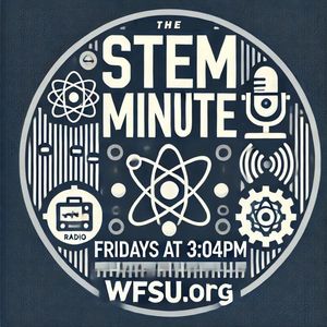 Image post by @wfsupublicmedia on Instagram