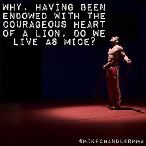 Image post by @mikechandlermma on Instagram