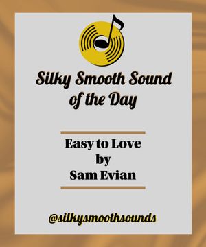 Image post by @silkysmoothsounds on TikTok