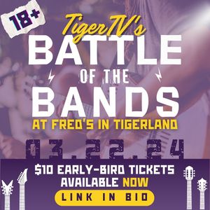 Image post by @lsutigertv on Instagram