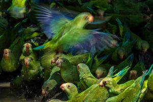 Image post by @natgeo on Instagram
