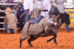 Image post by @arcadiarodeo on Instagram