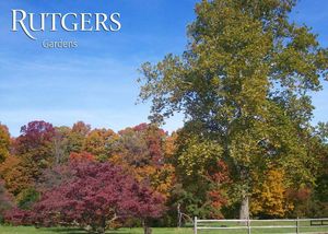 Image post by @rutgersnb on Instagram