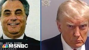 Video post by @msnbc on YouTube