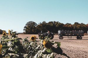 Image post by @nicolezaayerphotography on Instagram