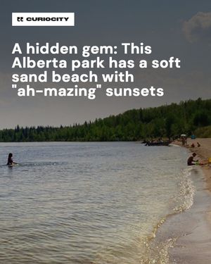 Image post by @curiocitycalgary on Instagram