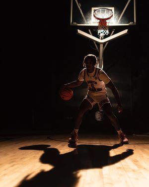 Image post by @gamecockmbb on Instagram