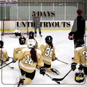 Image post by @sullyshockeyacademy on Instagram