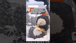 Video post by @accuweather on YouTube