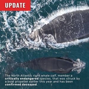 Image post by @centerforbiodiv on Instagram