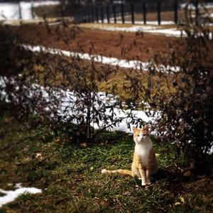 Image post by @margaux.farm on Instagram