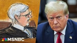 Video post by @msnbc on YouTube