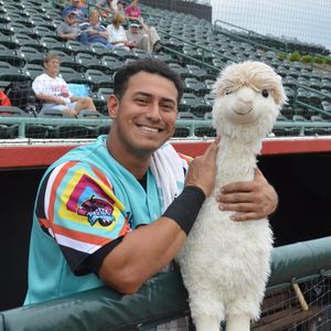 Image post by @hickorycrawdads on Instagram
