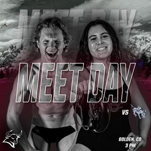 Image post by @cmu_swimdive on Instagram