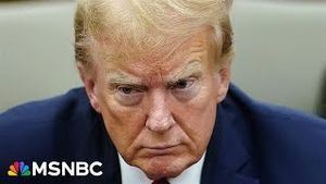 Video post by @msnbc on YouTube