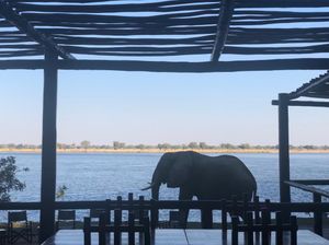 Image post by @chiawasafaris on Instagram