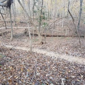 Image post by @blackdiamond_traildesigns on Instagram