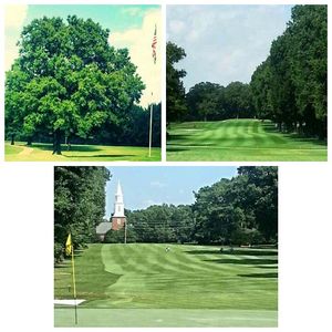 Image post by @memphismgolf on Instagram
