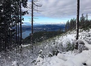 Image post by @tourismabbotsford on Instagram