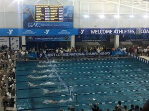 Image post by @wpiswimdive on Instagram