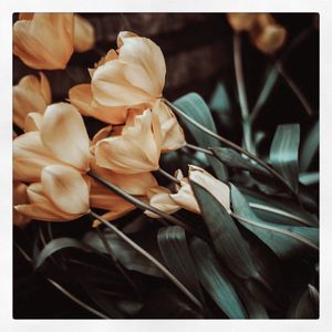 Image post by @paigeb on Instagram