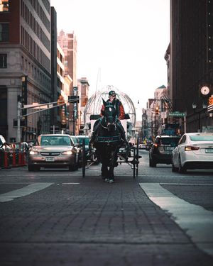 Image post by @horizonproject__ on Instagram
