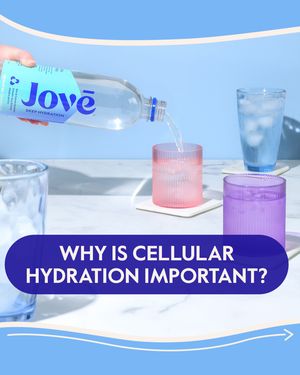 Image post by @drinkjove on Instagram