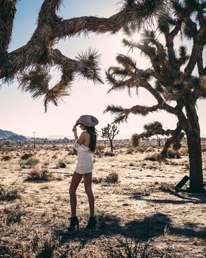 Image post by @fotowill on Instagram