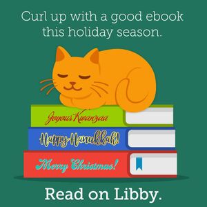 Image post by @stjohnscountylibrary on Instagram