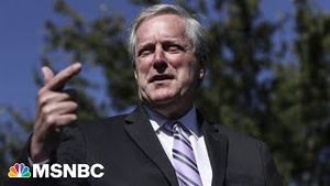 Video post by @msnbc on YouTube